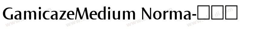 GamicazeMedium Norma字体转换